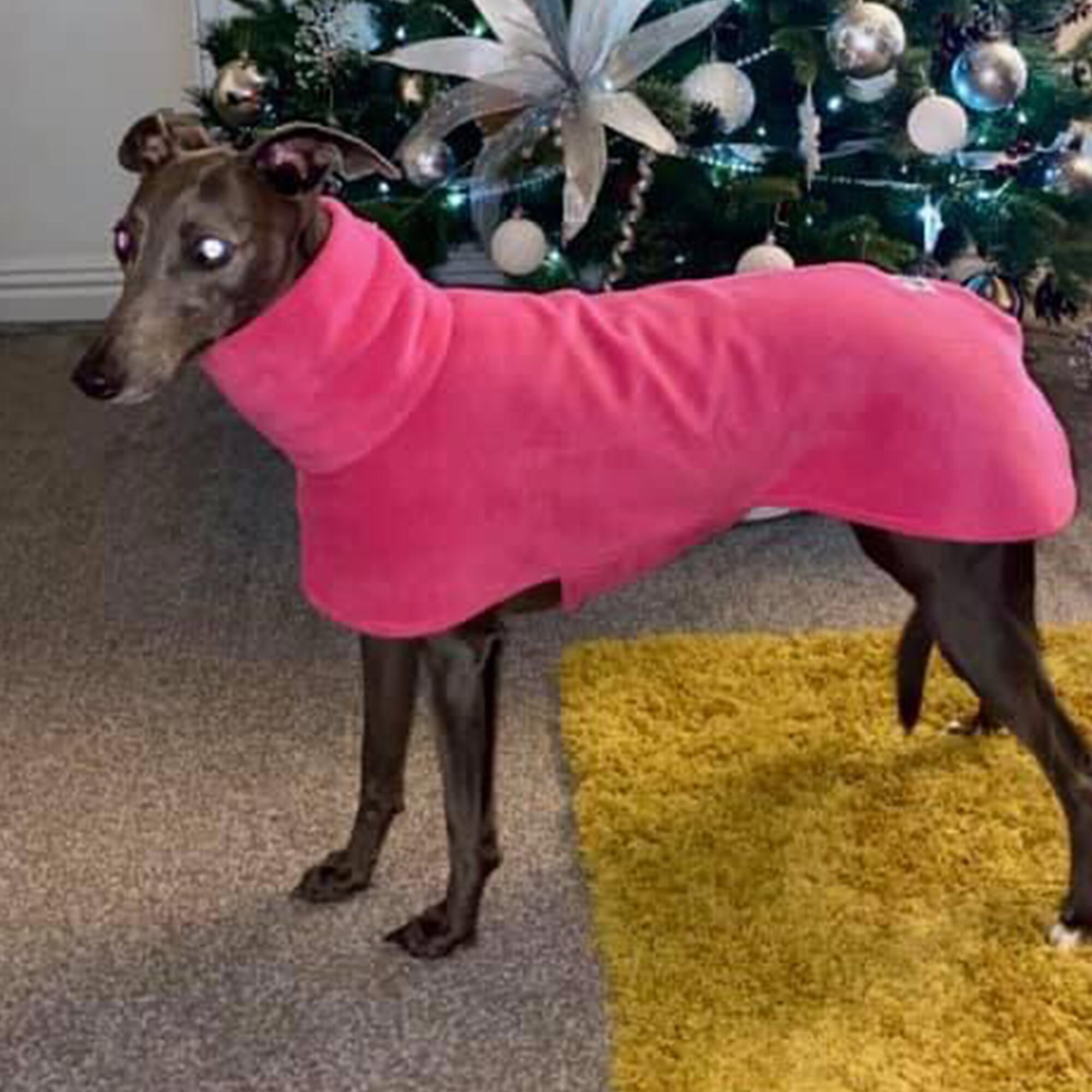 Indoor Dog Jacket Etsy UK