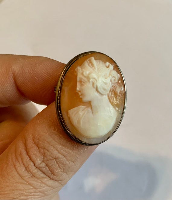 Real shell cameo brooch and pendant