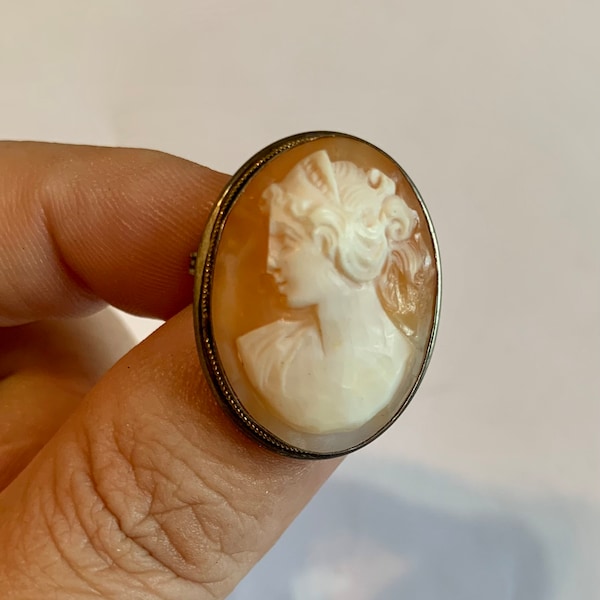 Real shell cameo brooch and pendant