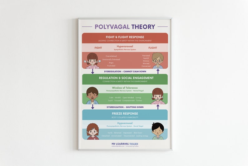 Polyvagal Theory Poster (printable) | Social and Emotional Learning - Etsy