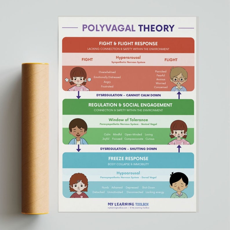 Polyvagal Theory Poster Social and Emotional Learning - Etsy