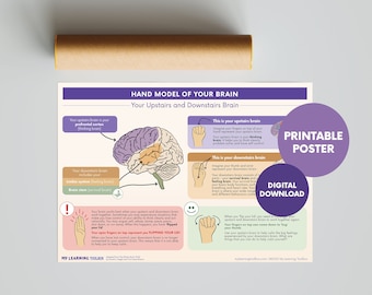 Hand Model of Your Brain Poster (Printable) | Brain Poster | Upstairs and Downstairs Brain | Neuroscience | Social and Emotional Learning