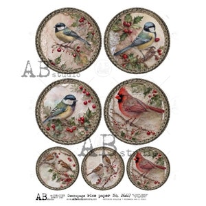 AB Studio, papier de riz, shabby chic, Noël, oiseaux bleus, cardinaux, décorations, cercles, ID-2668, décorations, A4 8,27 x 11,69 découpage