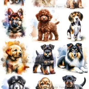 Objets créatifs pour découpage, papier de riz, chiots précieux, chiens, ronds, ornements, techniques mixtes, A4 8,27 x 11,69 DPD286
