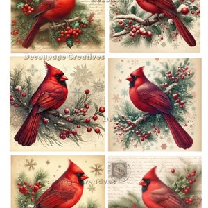 Objets créatifs pour découpage, papier de riz pour découpage, cardinaux, 6 carrés, oiseaux rouges, techniques mixtes, Noël, A4 8,27 x 11,69, DPD-175