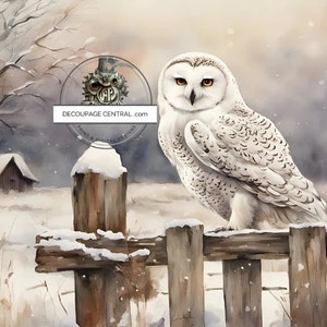 Central de découpage, hiver, neige, hibou blanc, clôture, style campagnard, grange, DC213, papier de riz, découpage, techniques mixtes, A4 8,27 x 11,69