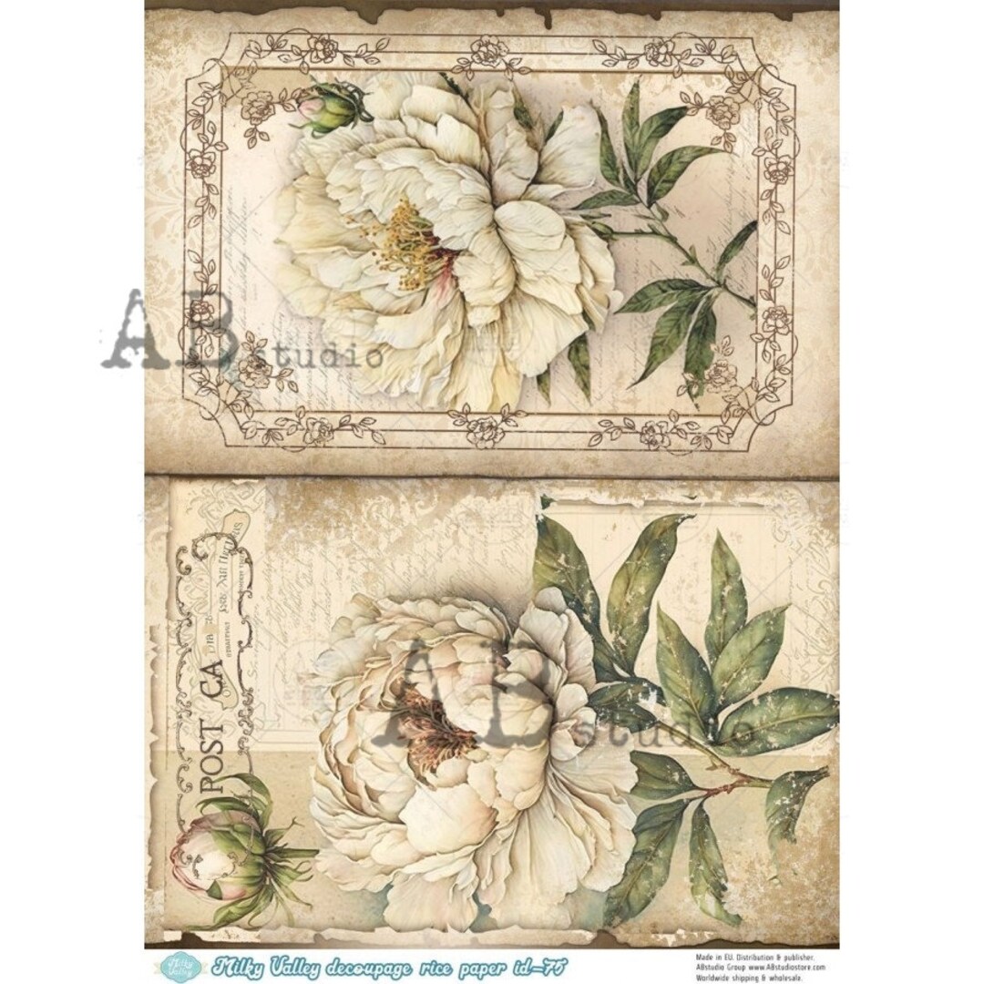 AB Studio, Rice Paper, Decoupage, White Peoni, Vintage Framed, Shabby ...