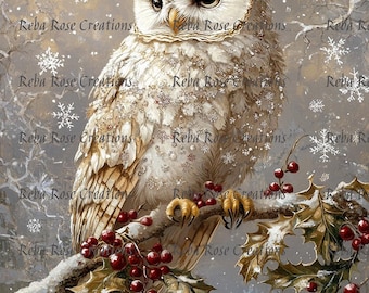 Reba Rose Creations, Rice Paper for Decoupage, Mixed Media, Christmas, White Owl, Snowflakes, Snow, Shabby Chic, 1346, A4, 8.27 X 11.6