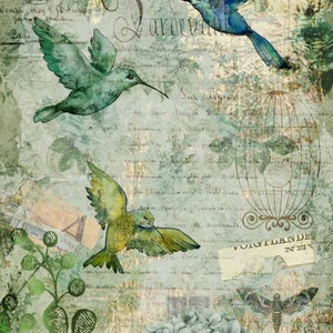 Reina del Decoupage, Colibríes de la Tarde, DQRP_0120 A4 - 8.3" X 11.7" Papel de Arroz, decoupage, Colibríes, jaula, Verde, Hortensia, Floral