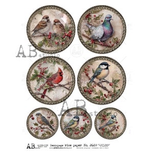 AB Studio, papier de riz, shabby chic, Noël, oiseaux bleus, cardinaux, décorations, cercles, ID-2689, décorations, A4 8,27 x 11,69 découpage