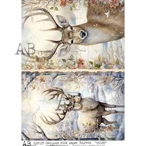 AB Studio, édition 2023, Noël, cerf, forêt, truie, scènes d'hiver, shabby chic, 2448, A4 8,2 x 11,6 papier de riz découpage, importé de Pologne