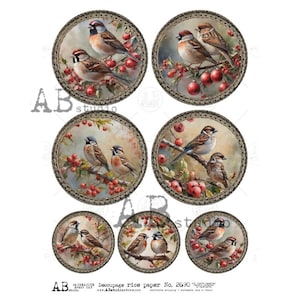 AB Studio, papier de riz, shabby chic, Noël, oiseaux, houx, baies, décorations, cercles, ornements, ID-2690, A4 8,27 x 11,69 découpage