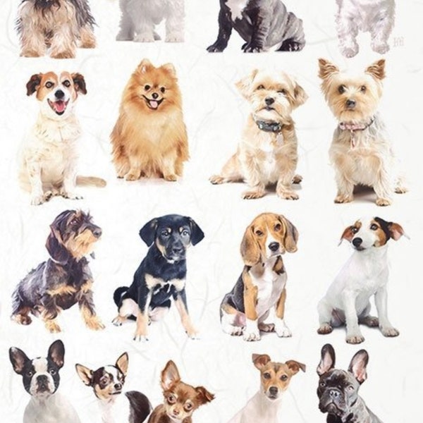 ITD Collection Rice Paper for Decoupage R2147, Size A4 - 210x297 mm, 8.27x11.7 inch, Dogs, puppies, varieties