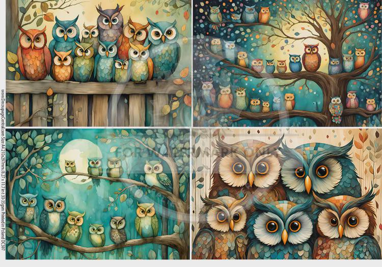 Decoupage Central, Crazy Owls, Blue, Colorful, Artistic, Owl Quad, DC597, Rice Paper, Decoupage, Mix