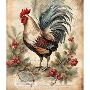 Decoupage central, coq, fleurs, coloré, vintage, style shabby chic, DC114, papier de riz, découpage, techniques mixtes, A4 8,27 x 11,69