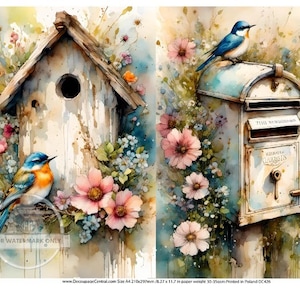 Découpage central, papier de riz, oiseaux, boîte aux lettres, maison d'oiseau, printemps, fleurs, aquarelle, carrés, campagne DC426, techniques mixtes, A4 8,27 x 11,69