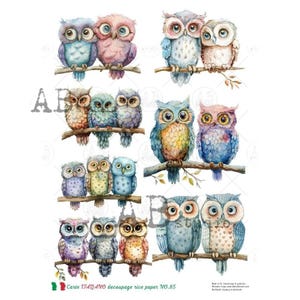 AB Studio, Carte Italiano, Rice Paper, Baby Owls, Spring, Pink, Blue, Shabby Chic, Decoupage, Mixed Media, NO-85, A4 8.27 x 11.69