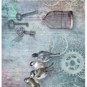ITD Collection, Rice Paper, Decoupage,  R1319, A4 - 8.27x11. inc, Vintage, backgrounds, Steampunk, bird cage, Shabby Chic Mixed Media