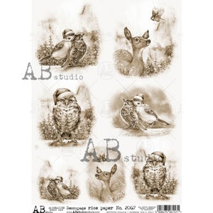 AB Studio Shabby Chic, Hiver, Noël, Hiboux, Cerf, Ronds, Sépia, 2067, A4 - 8,27 x 11,69 pouces, Papier de riz, découpage, Pologne