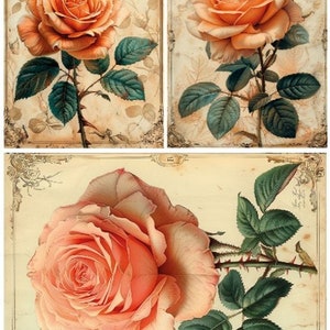 LaBlanche, lanzamiento de primavera de 2024, papel de arroz, hermoso, rosa, rosas, paquete de 3, vintage, estilo shabby chic, cuadrados, LBD360, A4 8,27 x 11,69 pulgadas