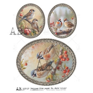 AB Studio, papier de riz, shabby chic, Noël, oiseaux, houx, baies, décorations, ovales encadrés, ornements, ID-2694, A4 8,27 x 11,69 découpage