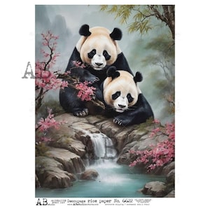 May include: Two black and white pandas sitting on rocks by a waterfall. The pandas are surrounded by pink flowers and green foliage. The background is a misty forest.