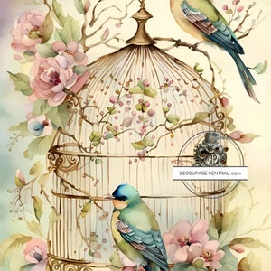 Decoupage Central, papier de riz, vintage, printemps, fleurs, oiseaux, cage à oiseaux, aquarelle, shabby chic, DC261, techniques mixtes, A4 8,27 x 11,69