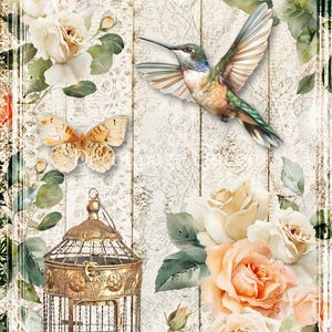 Decoupage Queen, papier de riz, printemps 2025, shabby chic, colibris, cage, roses, dentelle, fleurs, 0713, A4 8 x 11,7, serviettage, techniques mixtes