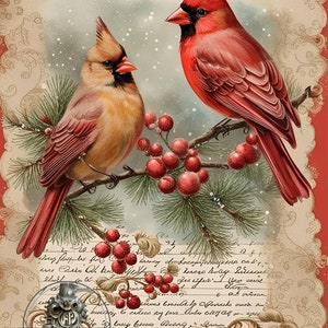 Decoupage Central, vacances, cardinaux, Noël, style vintage, shabby chic, DC118, papier de riz, découpage, techniques mixtes, A4 8,27 x 11,69 pouces