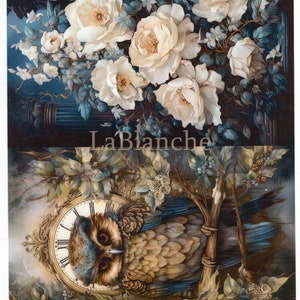 LaBlanche, édition hiver 2024, papier de riz, prairie fantastique, hibou, roses roses, shabby chic, style vintage, LBD384, A4 8,27 X 11,69 pouces