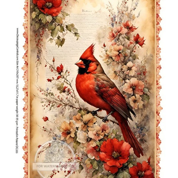 Decoupage Central, Holiday, Cardinals, Christmas, Vintage Style, Shabby Chic, DC335, Rice Paper, Decoupage, Mixed Media, A4 8.27x11.69 in