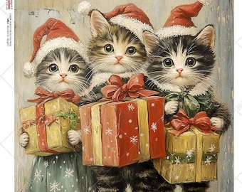 Paper Designs Rice Paper, uscita 2024, Buon Natale, Gattini, Regali, 0261, A4, Decoupage, Tecnica mista