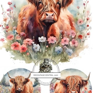 Decoupage Central, aquarelle, Highland, vache, cercles, coloré, fleurs, ronds, DC197, papier de riz, découpage, techniques mixtes, A4 8,27 x 11,69