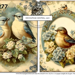 Découpage central, papier de riz, Pâques, vintage, fleurs bleues, naissance, style ancien, carrés, shabby chic, DC277, techniques mixtes, A4 8,27 x 11,69