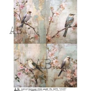 AB Studio, Shabby Chic, Pâques, Printemps, Oiseaux, Fleurs, Papier cartonné, 6471, A4, 8,27 x 11,69 pouces, Papier de riz, Serviettage, Technique mixte