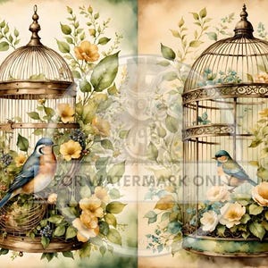 Decoupage Central, papier de riz, vintage, printemps, fleurs, oiseaux, cage à oiseaux, aquarelle, shabby chic, DC633, techniques mixtes, A4 8,27 x 11,69