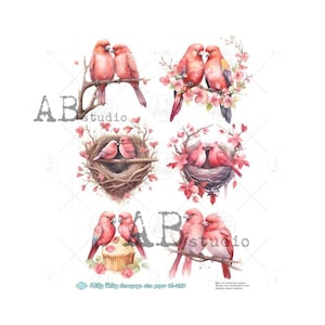 May include: A sheet of decoupage paper with six images of pink birds. The birds are in various poses, including a pair of birds in a nest, a pair of birds on a branch, and a pair of birds with a cupcake. The paper is printed with the words "Filly Valley decoupage rice paper id-260".
