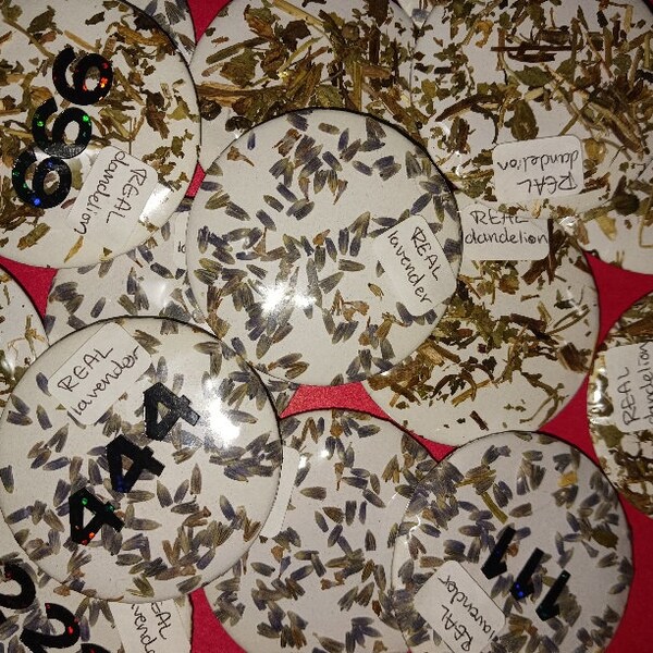 REAL HERB PINS, lavender and dandelion pins, angel numbers or blank