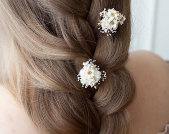 Hairpins | Dried flower series "Laura" | Veilweed white | Harrschmuck | Bridal Hairstyle | Dried flowers | Wedding | Set