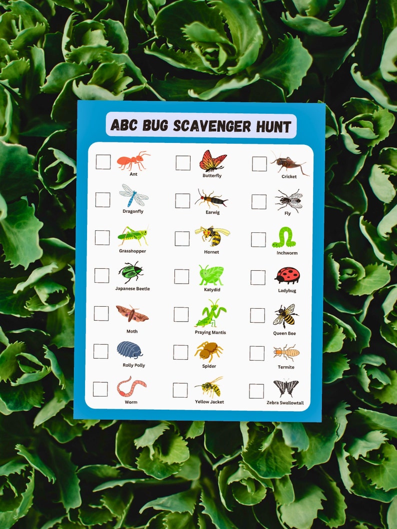 ABC Insect Scavenger Hunt Printable for Kids - Etsy