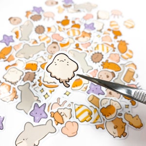 Animal Fishing Pond Sea Critter Vinyl Sticker Pack | 18 sticker flakes!