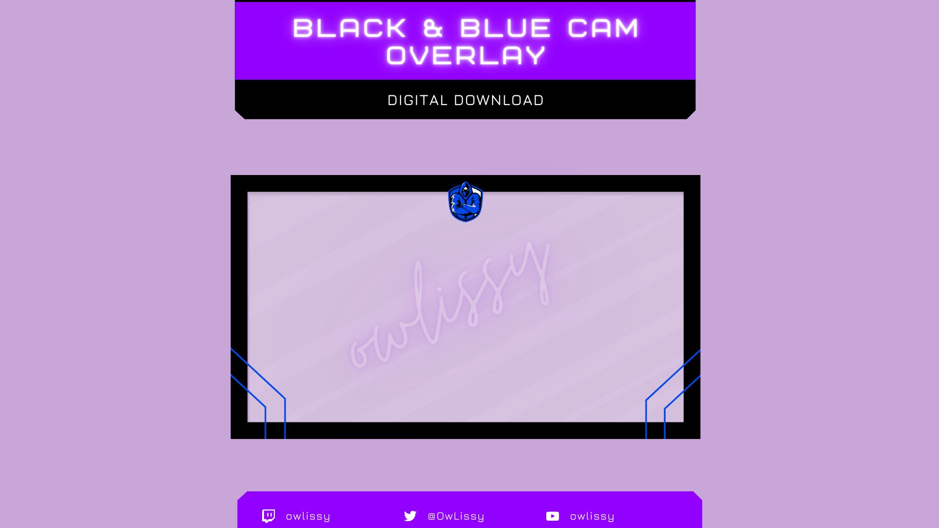 Bluecam chat