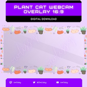 Pflanzen Kitty Webcam Overlay | 16:9