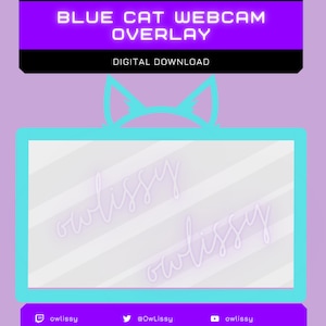 Cat Webcam Overlay | 16:9