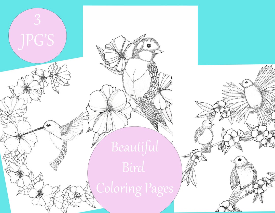 Bird Coloring Page Adult Coloring Pages Birds and Flowers Coloring Page