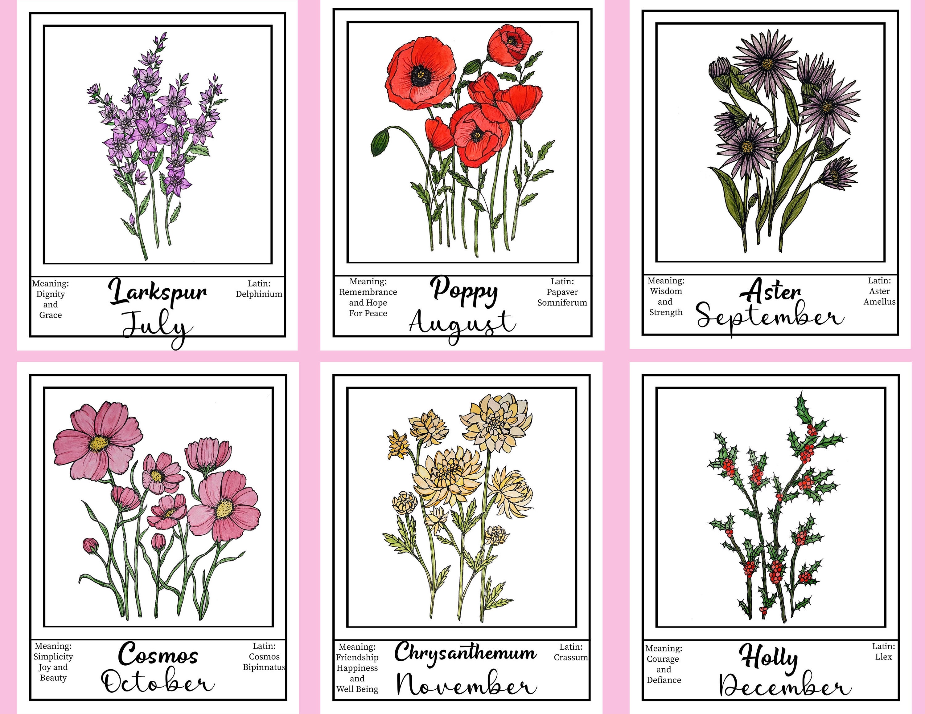 Flowers of the Month Painting Set Watercolor Monthly Flowers Watercolor