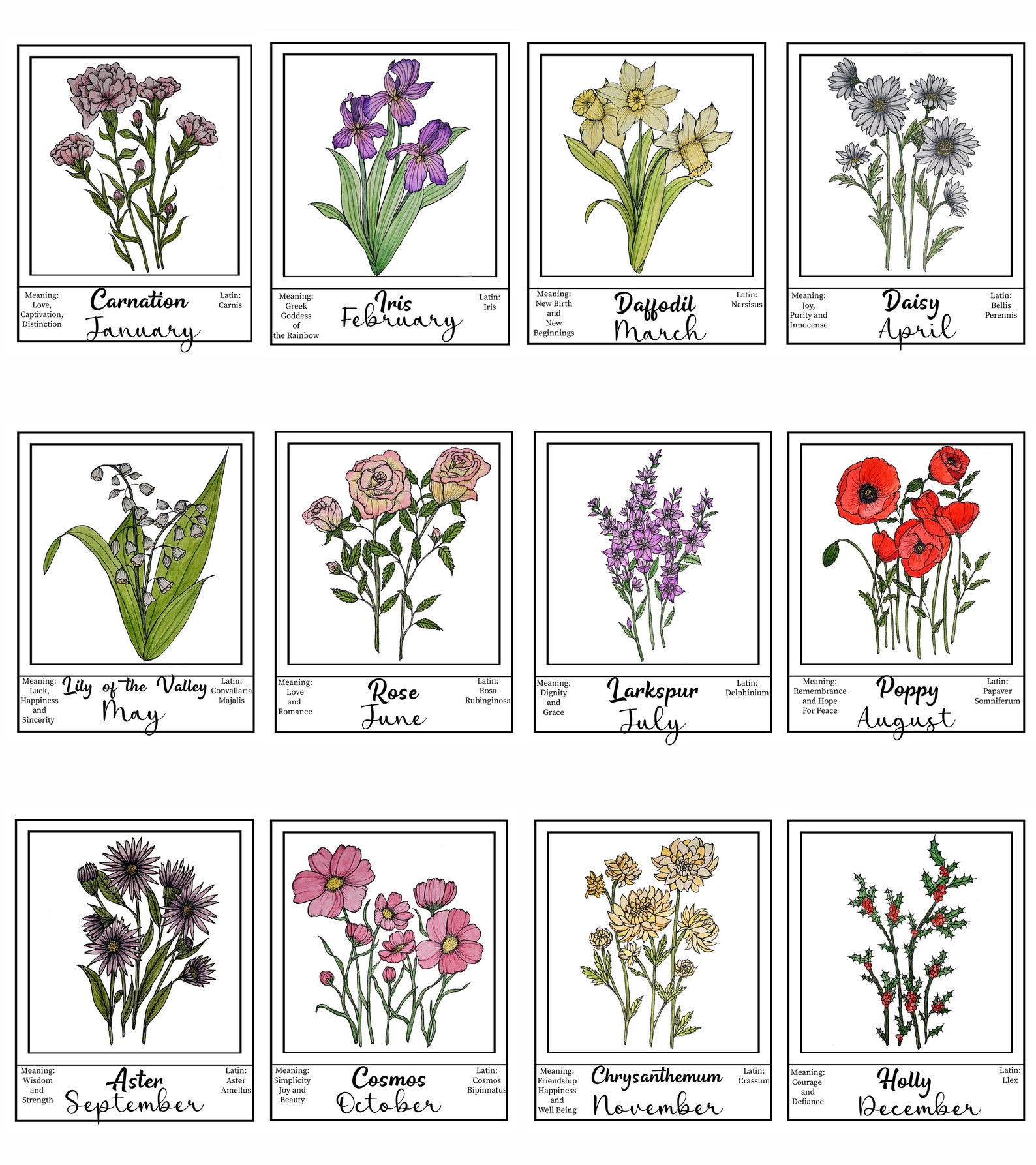 Flowers of the Month Painting Set Watercolor Monthly Flowers Watercolor