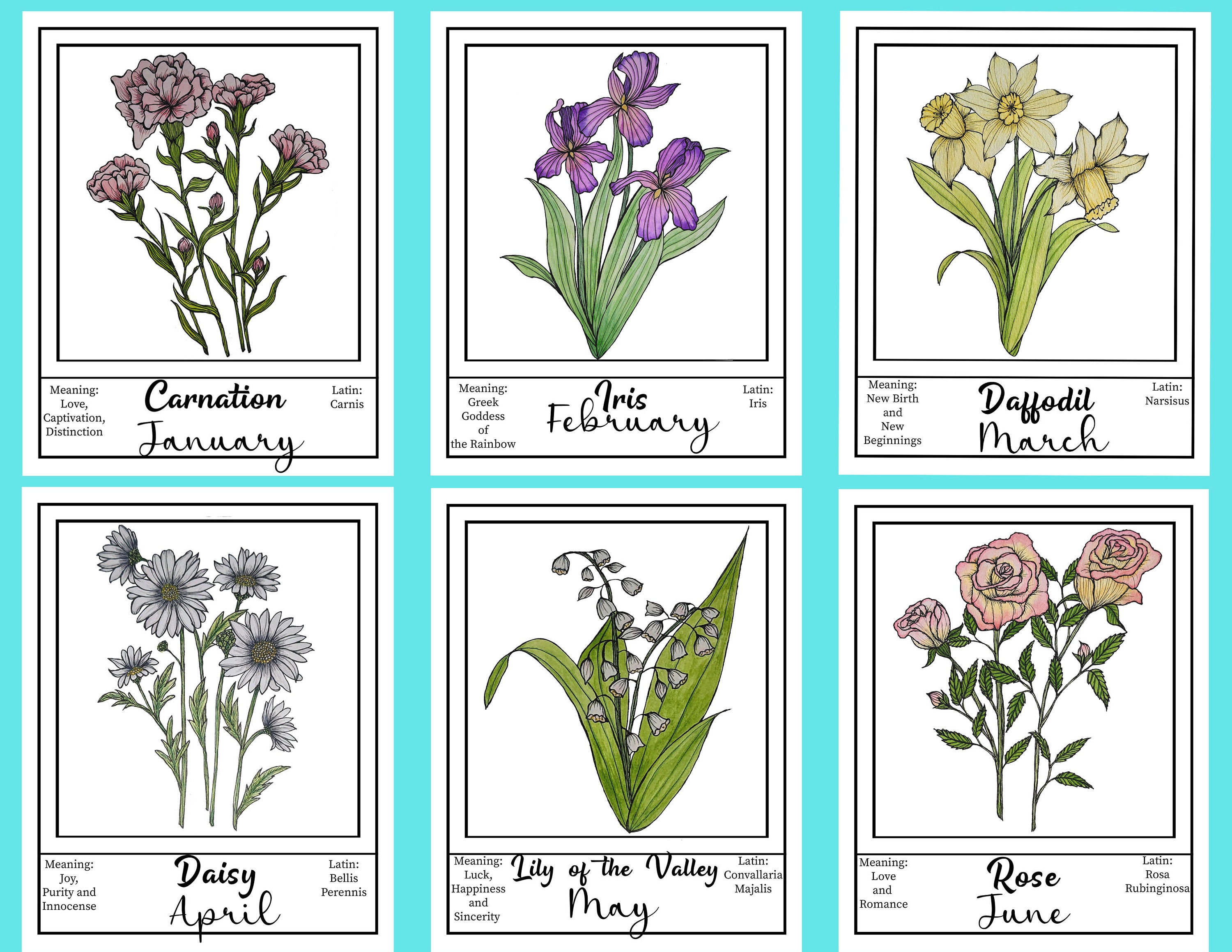 Flowers of the Month Painting Set Watercolor Monthly Flowers Watercolor