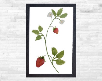 Strawberry Watercolor | Strawberries | Strawberry Painting | Strawberry Printable | Strawberry Art | Strawberry Decor | Strawberry Blossoms