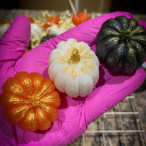 Fall Soaps Mini Pumpkin Soaps | Set of 3 soap bars | Fall Decor Vegan Soap | Halloween Decor | Small White Orange and Green Pumpkin Soaps